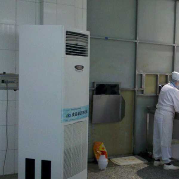 怒江食品正负离子空气杀菌器